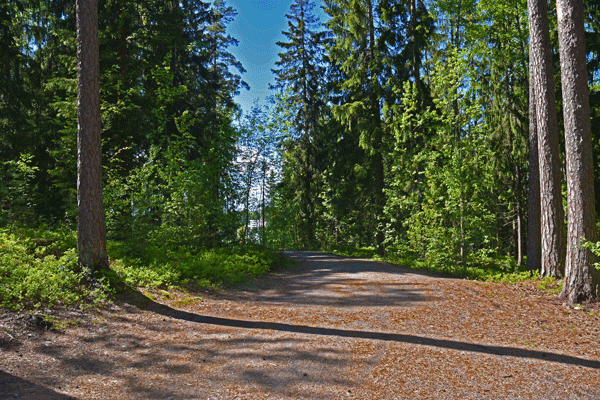 Kummelivuoren lenkkipolku